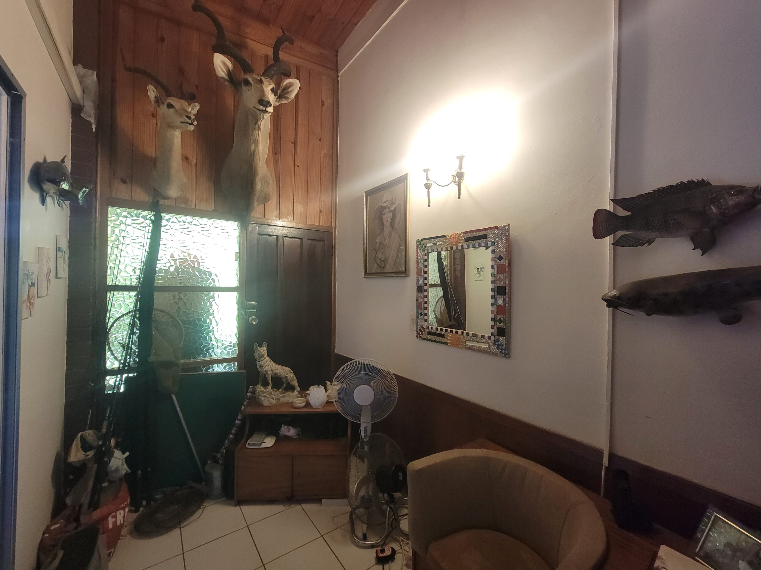 NIPHD-V8TJ – Free Standing House in Hillside For Sale, property photo 8