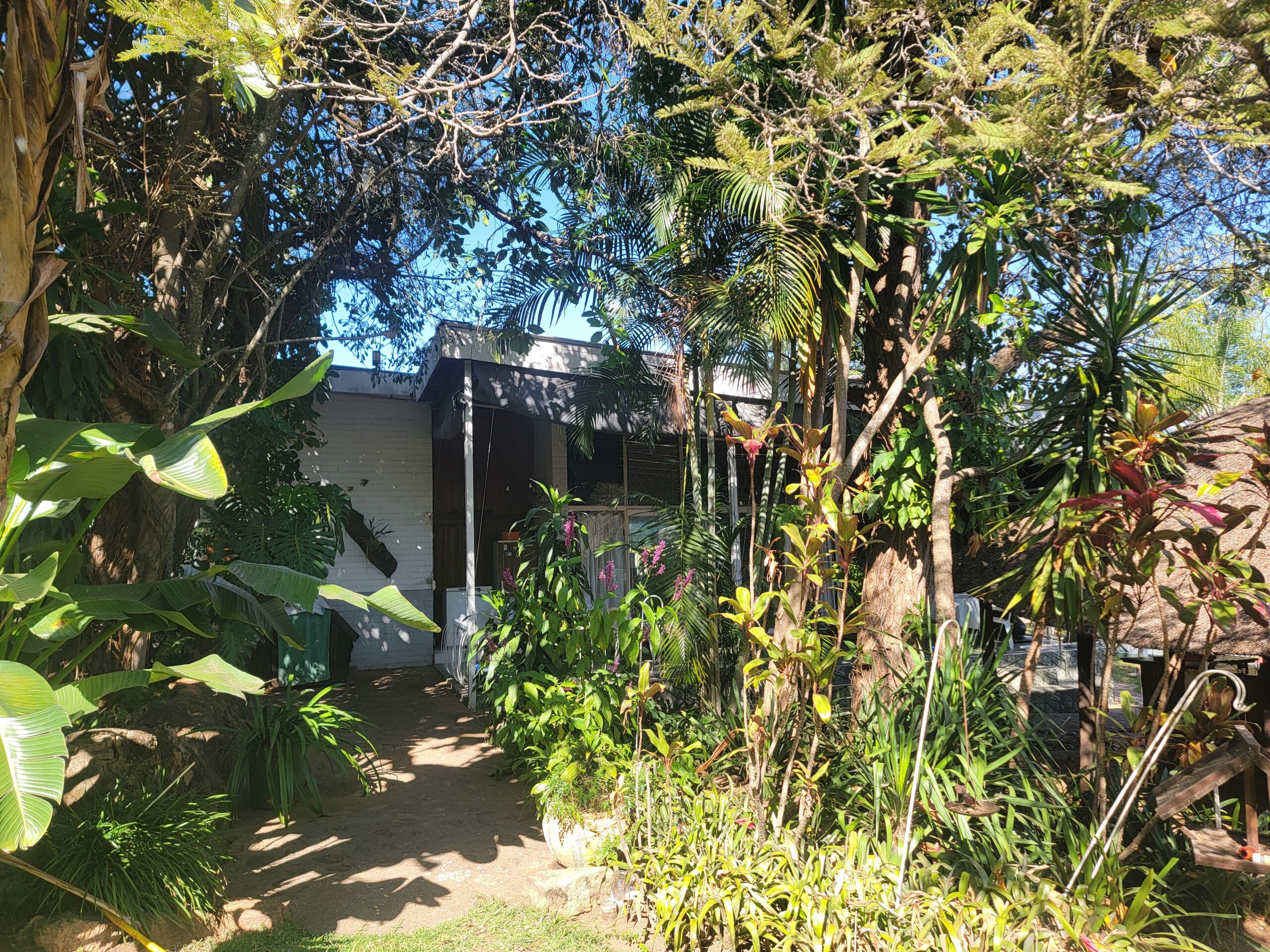 NIPHD-V8TJ – Free Standing House in Hillside For Sale, property photo 33