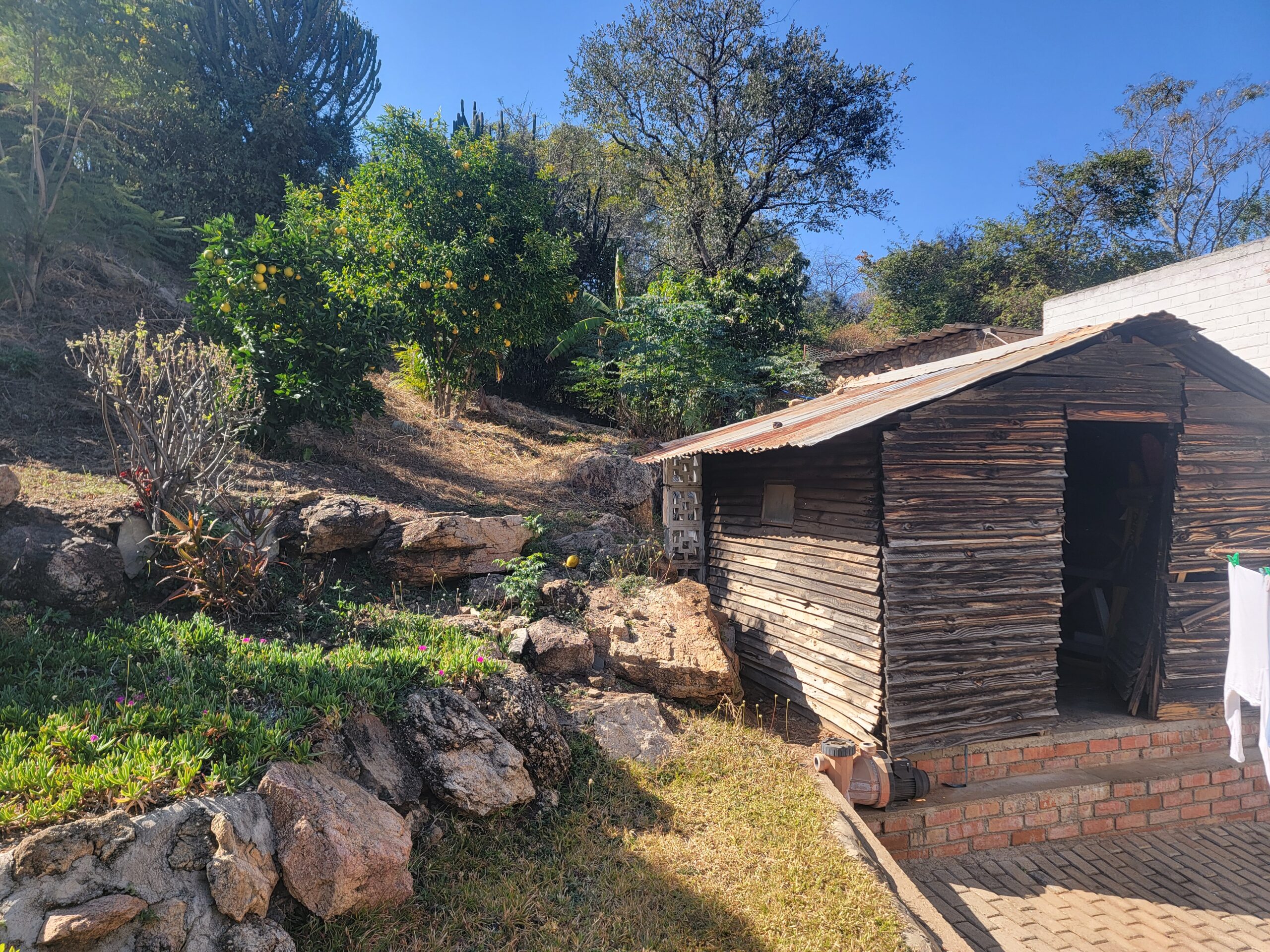 NIPHD-V8TJ – Free Standing House in Hillside For Sale, property photo 46