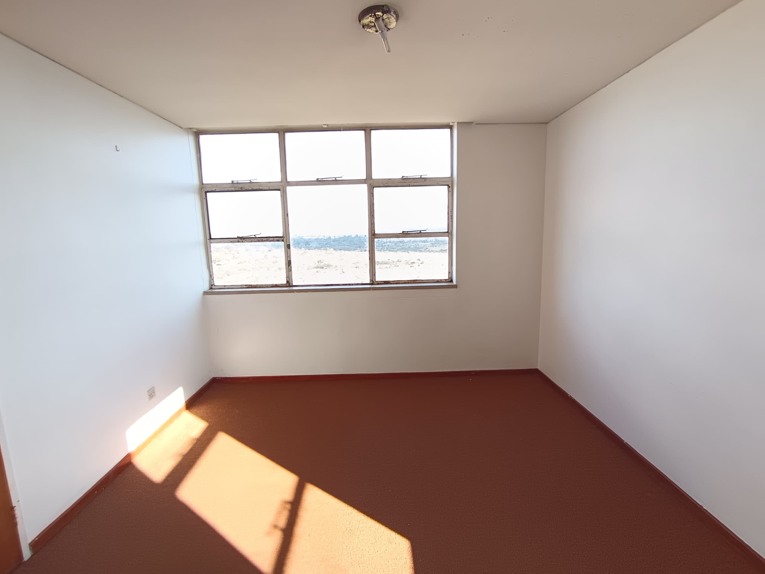 NIPHD-Y6IV – Apartment in Ascot For Sale, property photo 9
