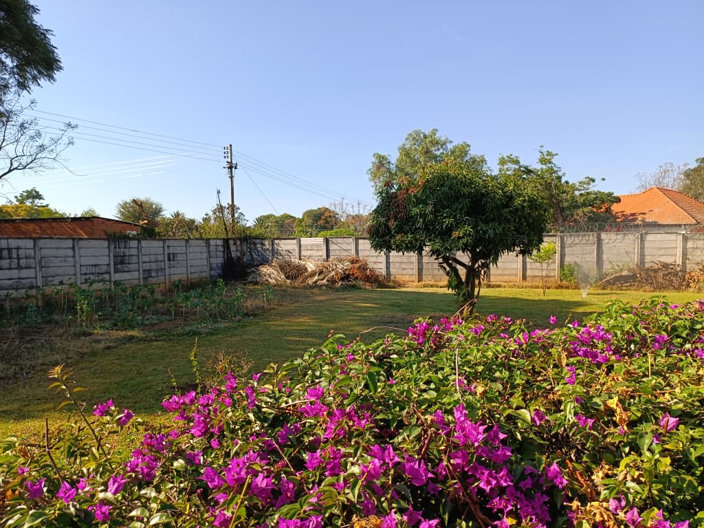 NIPHD-P0W7 – Free Standing House in Hillside For Sale, property photo 10