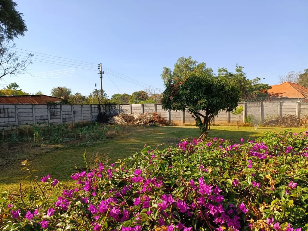 NIPHD-P0W7 – Free Standing House in Hillside For Sale, property photo 10