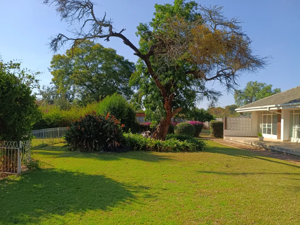 NIPHD-P0W7 – Free Standing House in Hillside For Sale, property photo 8