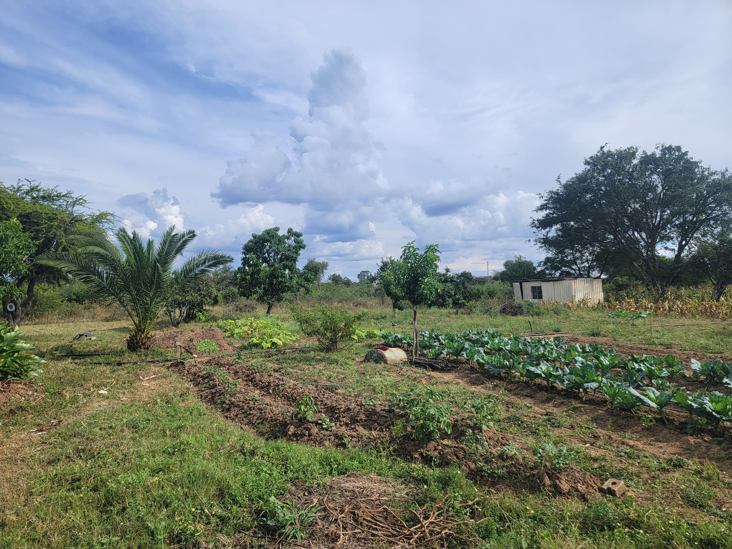 NIPLD-K8J8 – Farm/Plot in Manningdale For Sale, property photo 15