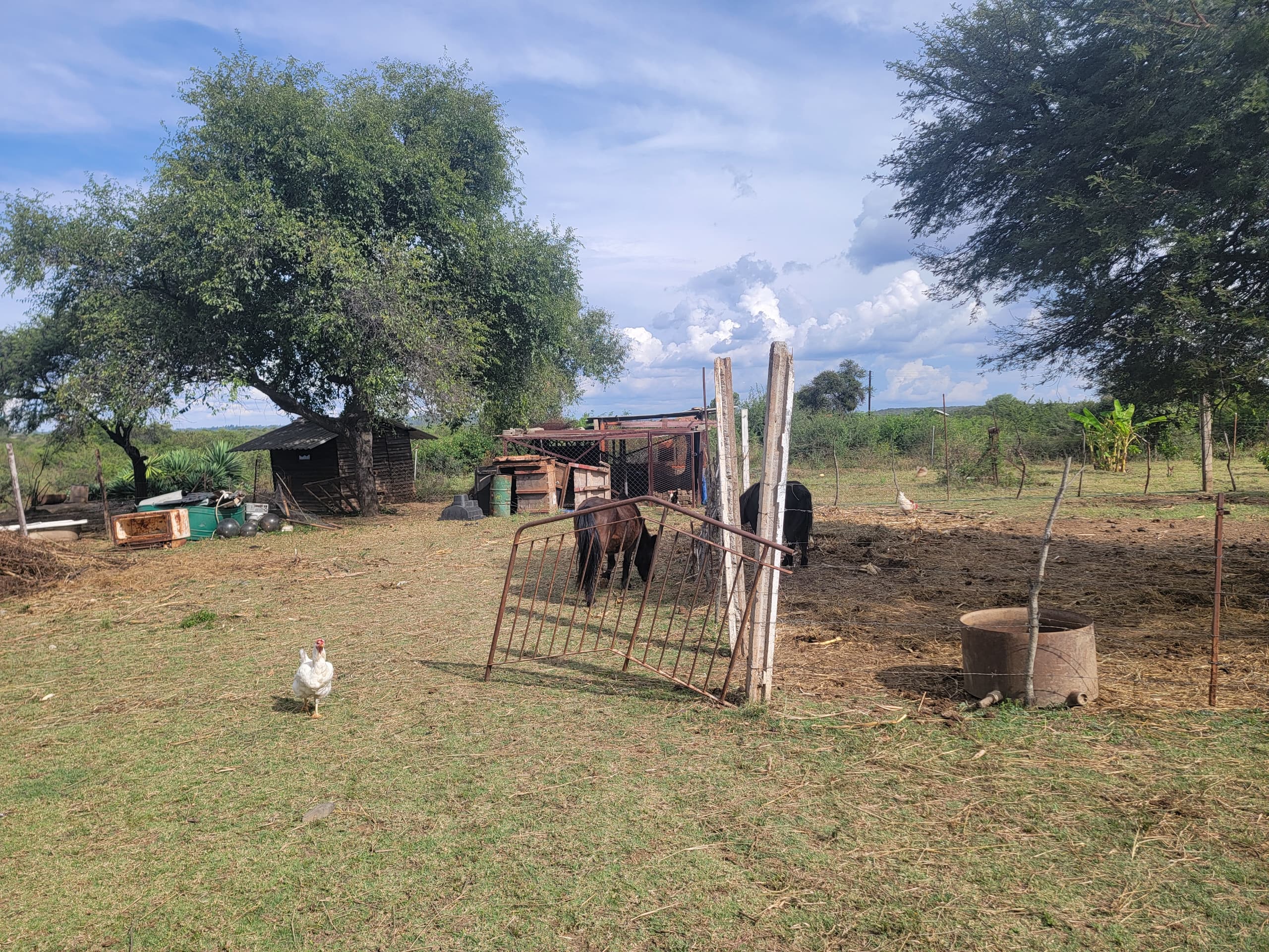 NIPLD-K8J8 – Farm/Plot in Manningdale For Sale, property photo 20