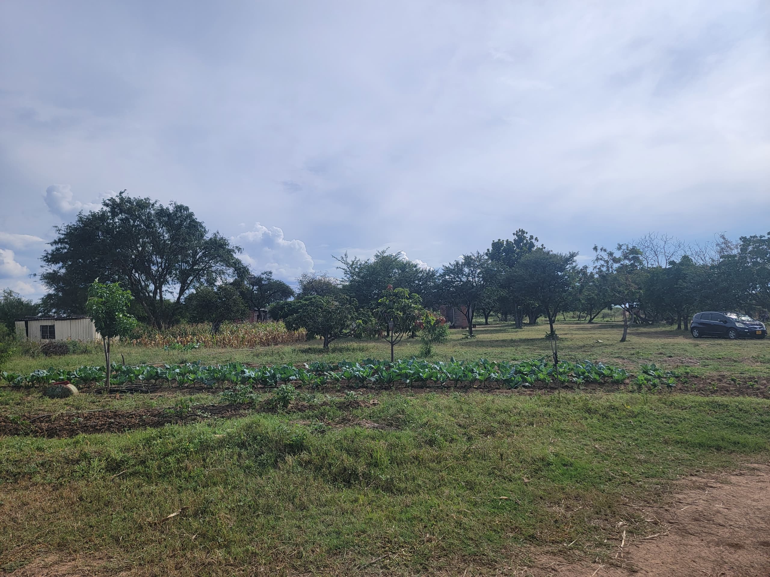 NIPLD-K8J8 – Farm/Plot in Manningdale For Sale, property photo 17