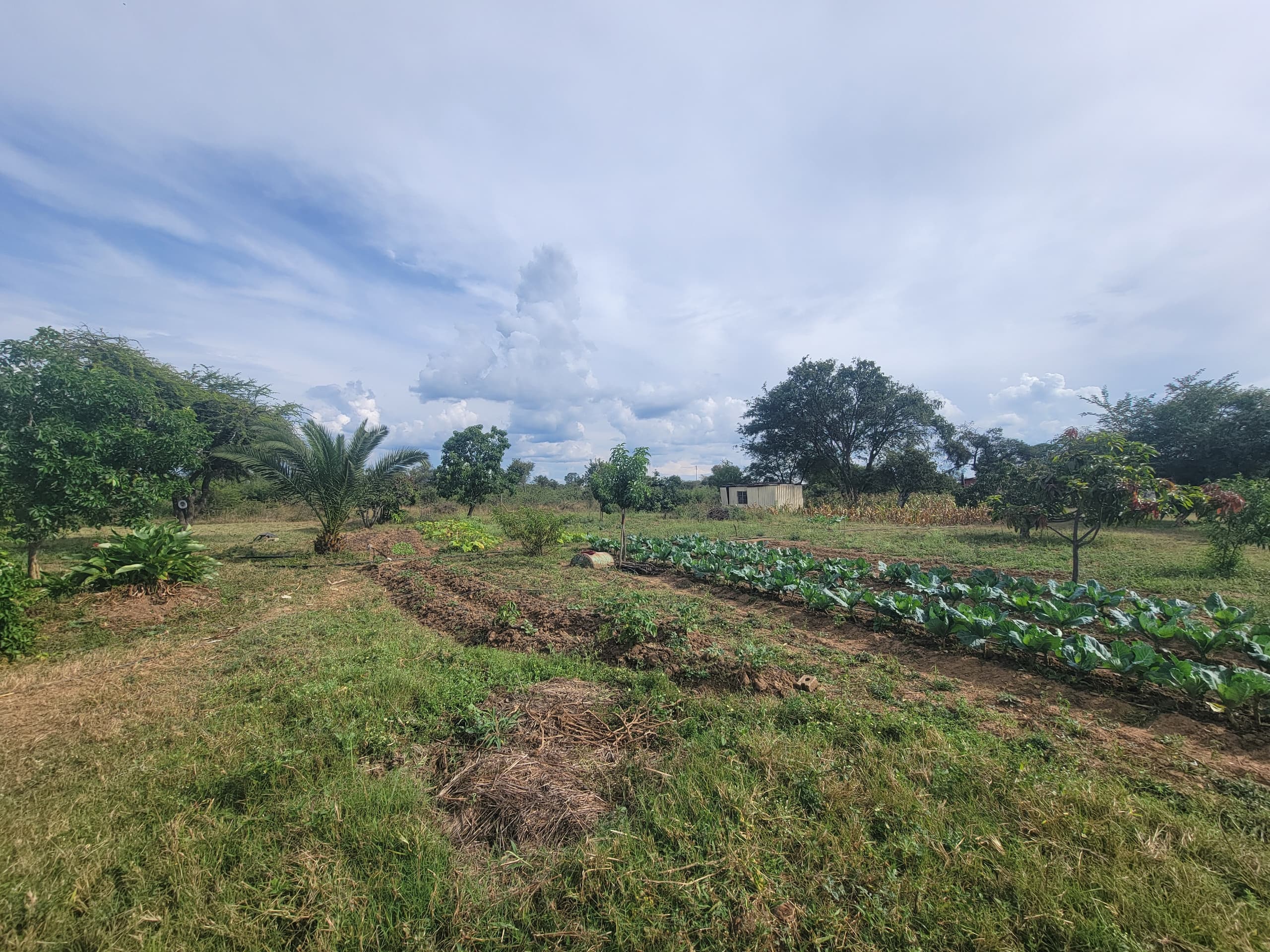 NIPLD-K8J8 – Farm/Plot in Manningdale For Sale, property photo 16