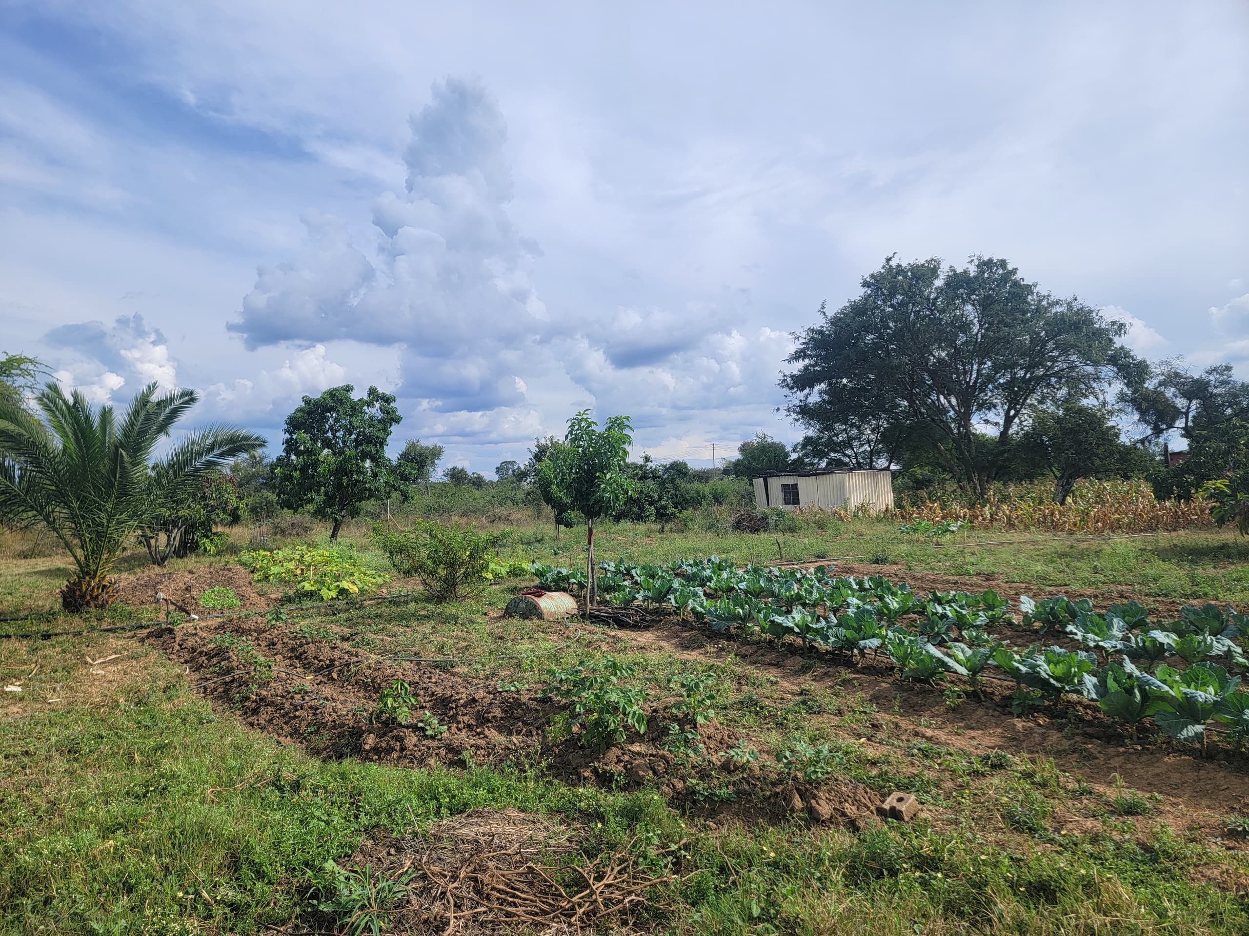 NIPLD-K8J8 – Farm/Plot in Manningdale For Sale, property photo 7