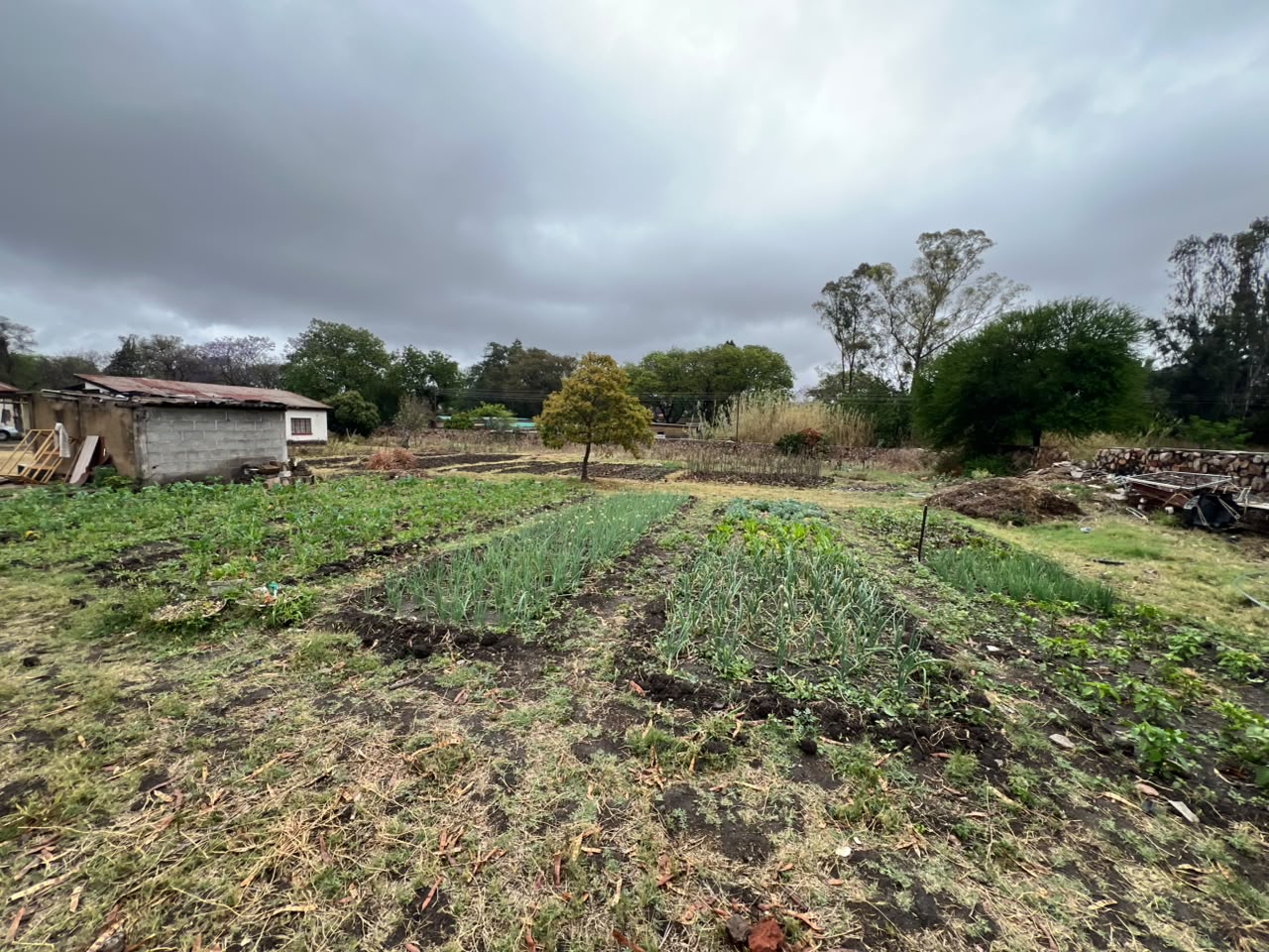 NIPHD-N2S7 – Family Home in Four Winds For Sale, property photo 22